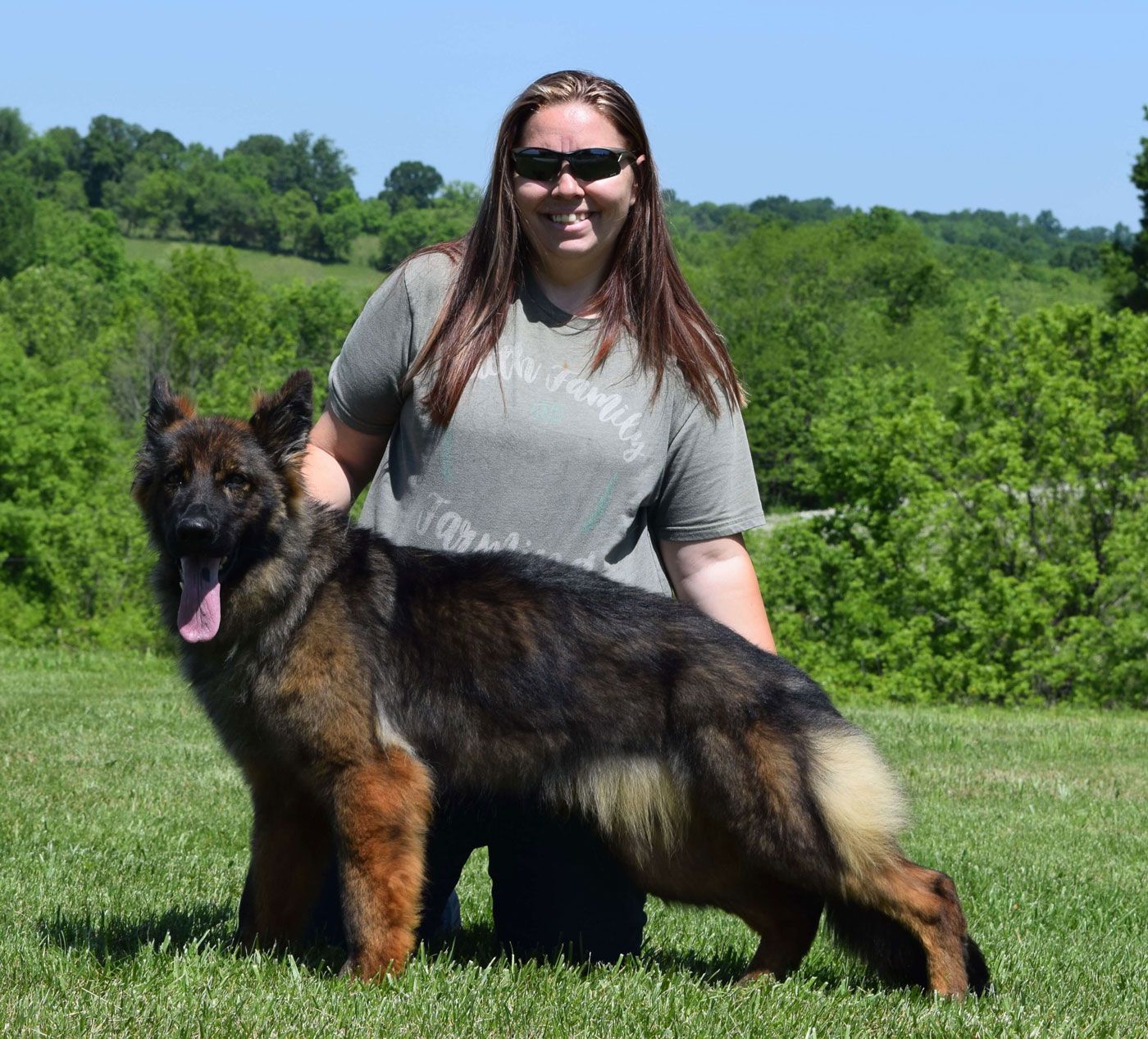 long coat german shepherd puppies for sale