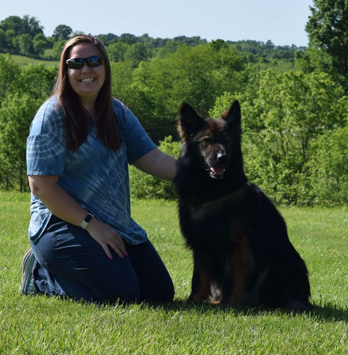 long coat german shepherds