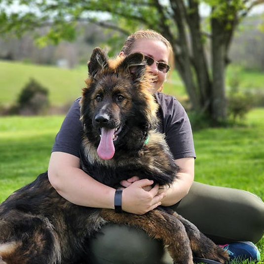 puppy german shepherds for sale near me